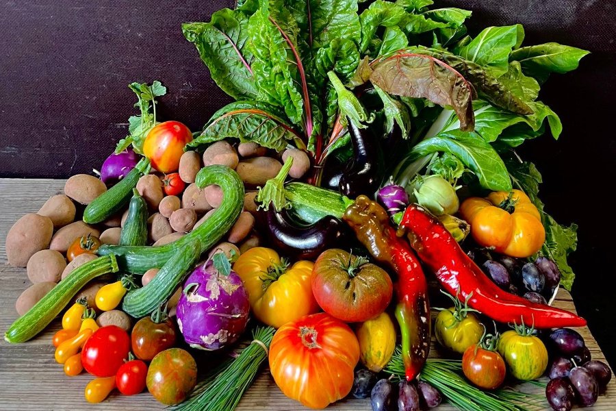 Veganes Menü in sieben Gängen